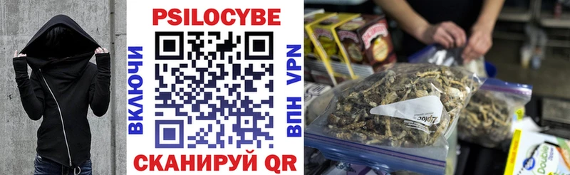 Псилоцибиновые грибы Psilocybe  цена наркотик  Чехов 